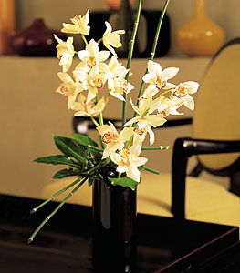  Sivas ieki maazas  cam yada mika vazo ierisinde dal orkide