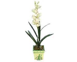 zel Yapay Orkide Beyaz   Sivas kaliteli taze ve ucuz iekler 