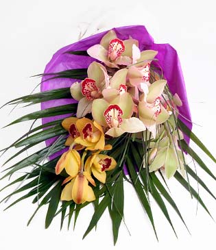  Sivas iek siparii vermek  1 adet dal orkide buket halinde sunulmakta