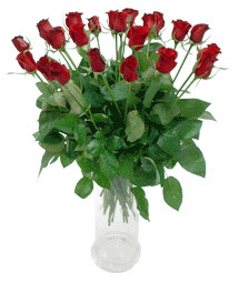  Sivas çiçek gönderme sitemiz güvenlidir  11 adet kimizi gülün ihtisami cam yada mika vazo modeli
