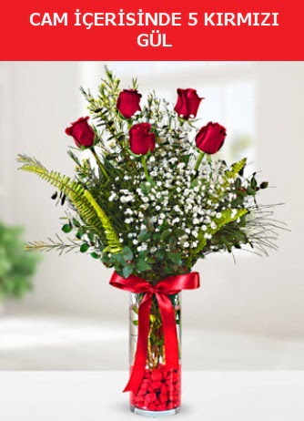 Cam içerisinde 5 adet kırmızı gül  Sivas ucuz çiçek gönder 