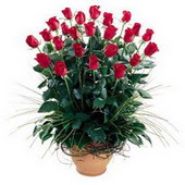  Sivas online çiçek gönderme sipariş  10 adet kirmizi gül cam yada mika vazo