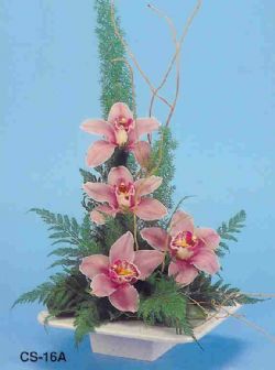  Sivas çiçek gönderme sitemiz güvenlidir  vazoda 4 adet orkide 