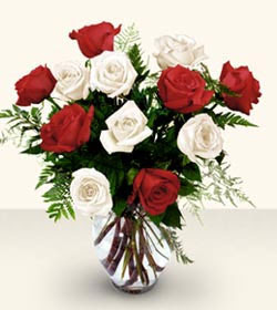  Sivas online çiçek gönderme sipariş  6 adet kirmizi 6 adet beyaz gül cam içerisinde
