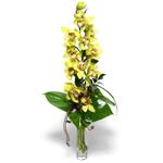  Sivas yurtiçi ve yurtdışı çiçek siparişi  cam vazo içerisinde tek dal canli orkide