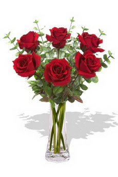  Sivas çiçek , çiçekçi , çiçekçilik  6 kırmızı gül vazosu