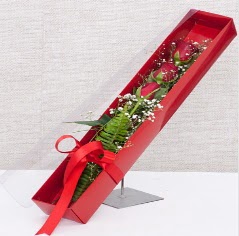 Kutu içerisinde 3 adet kırmızı gül  Sivas çiçekçiler 