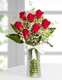 Cam vazoda 7 adet kırmızı gül  Sivas çiçek gönderme 