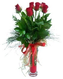 vazo içerisinde 5 kırmızı gül  Sivas çiçek servisi , çiçekçi adresleri 