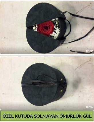 Solmayan ömürlük gül şoklanmış gül  Sivas İnternetten çiçek siparişi 