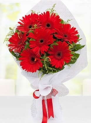 Kırmızı Gelbera Buketi  Sivas çiçek siparişi sitesi 