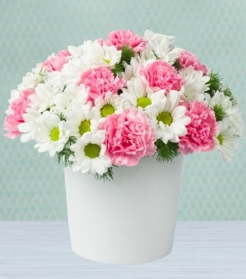 Seramik vazoda papatya ve kır çiçekleri  Sivas ucuz çiçek gönder 